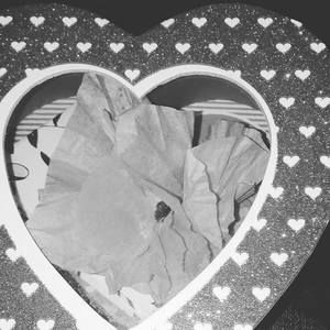 Meet your Posher, Julius